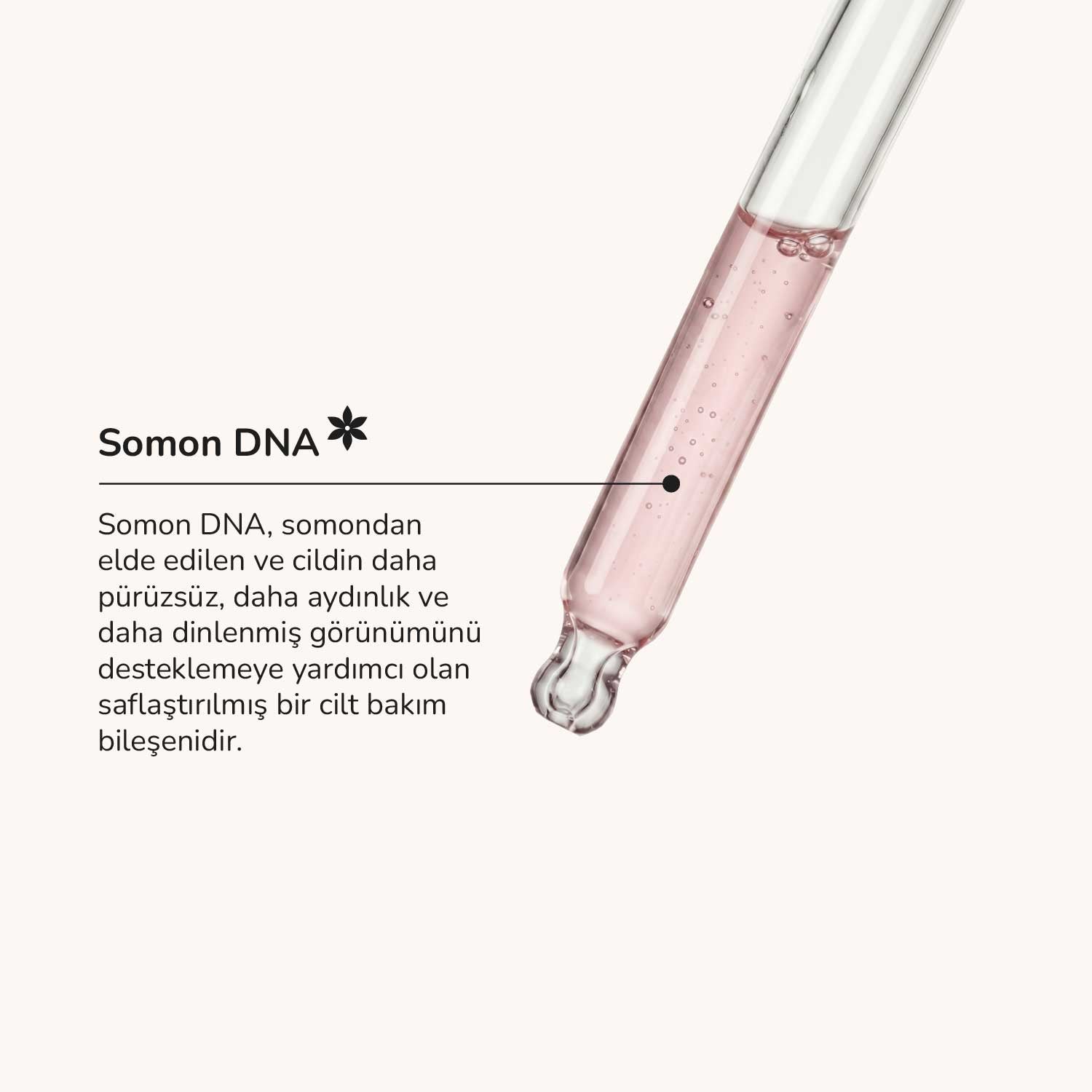 Somon DNA Yenileyici Serumu